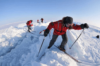 Получите бесплатную консультацию любым удобным способом