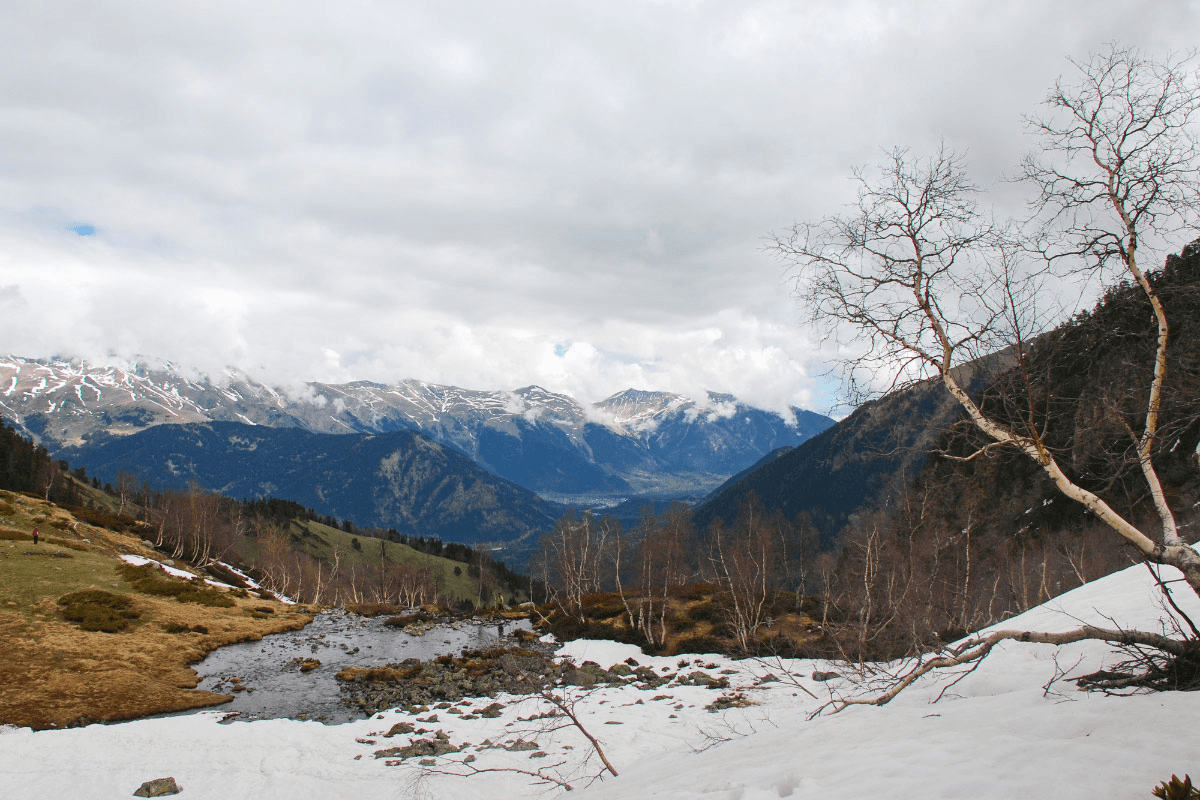 Фото услуги 6