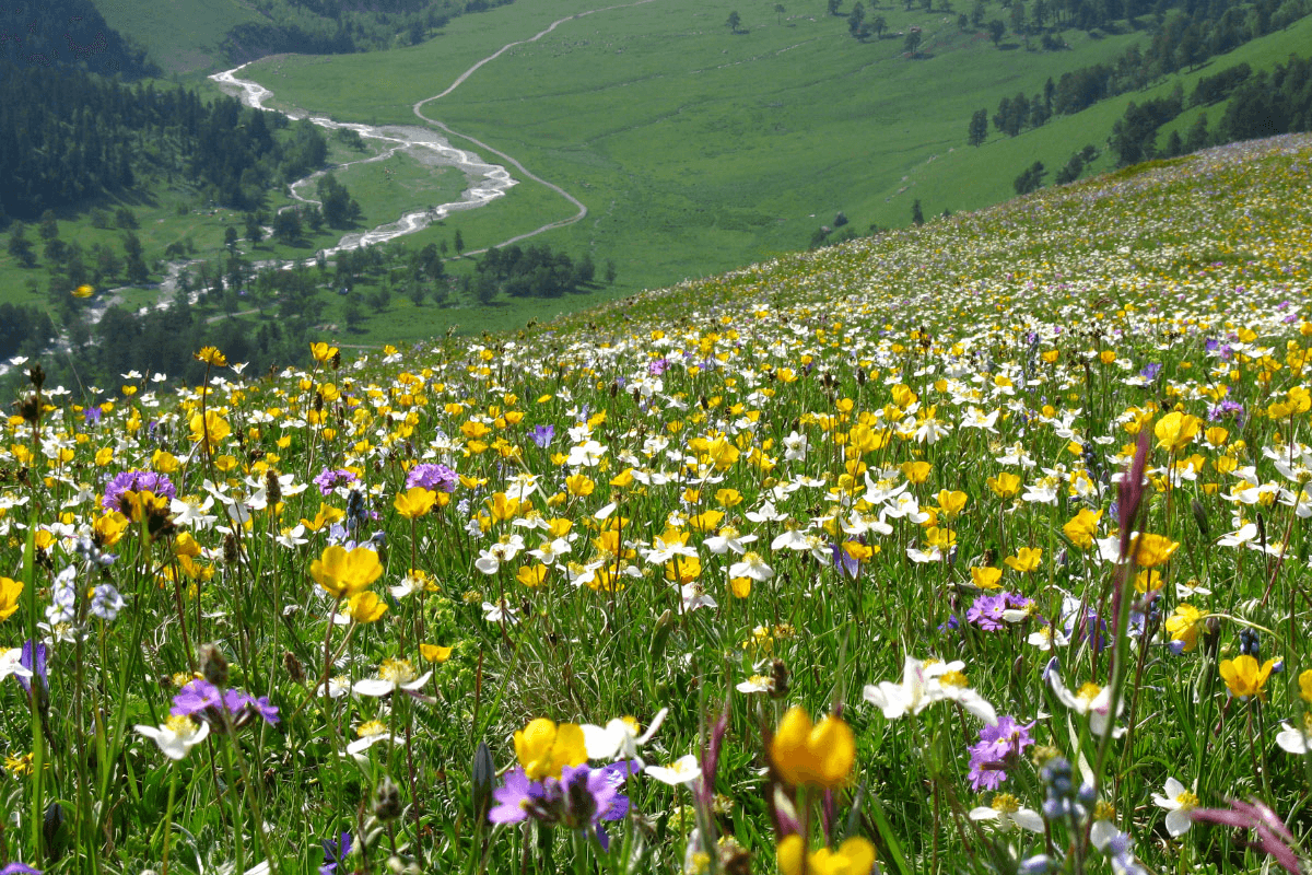 Фото услуги 4