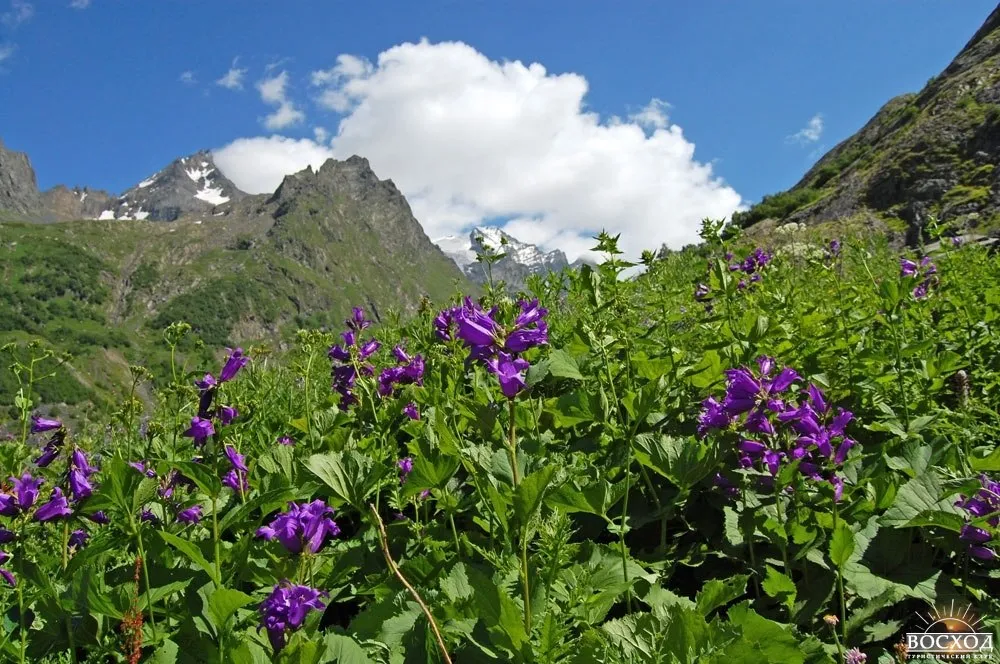 Aman Auz — viewpoint on the Abkhaz border — Route photo 6