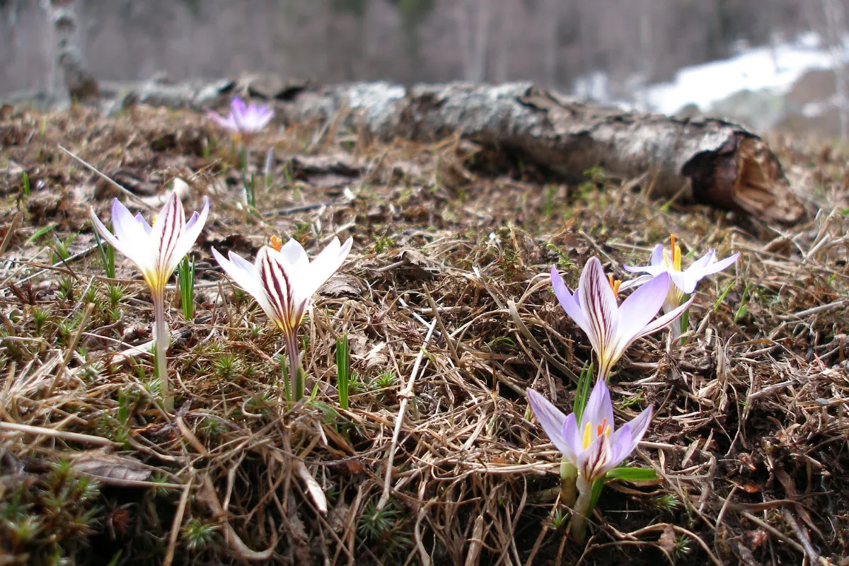 Trekking and hiking drop-offs 8