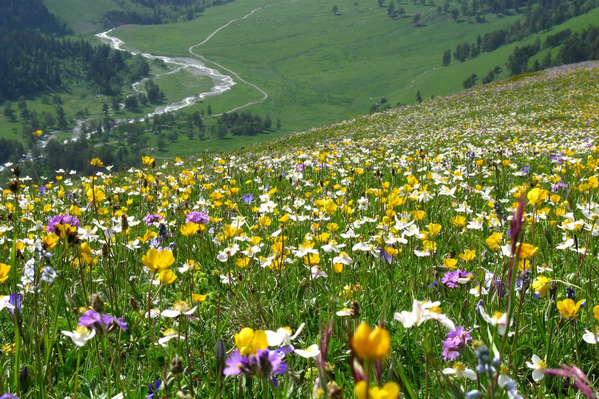 Trekking and hiking drop-offs 4