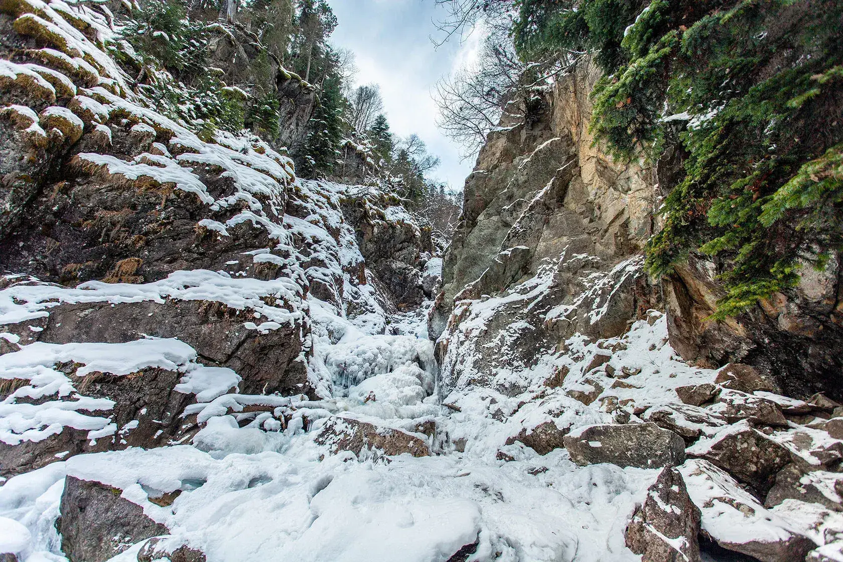 Sofia glaciers preview 2