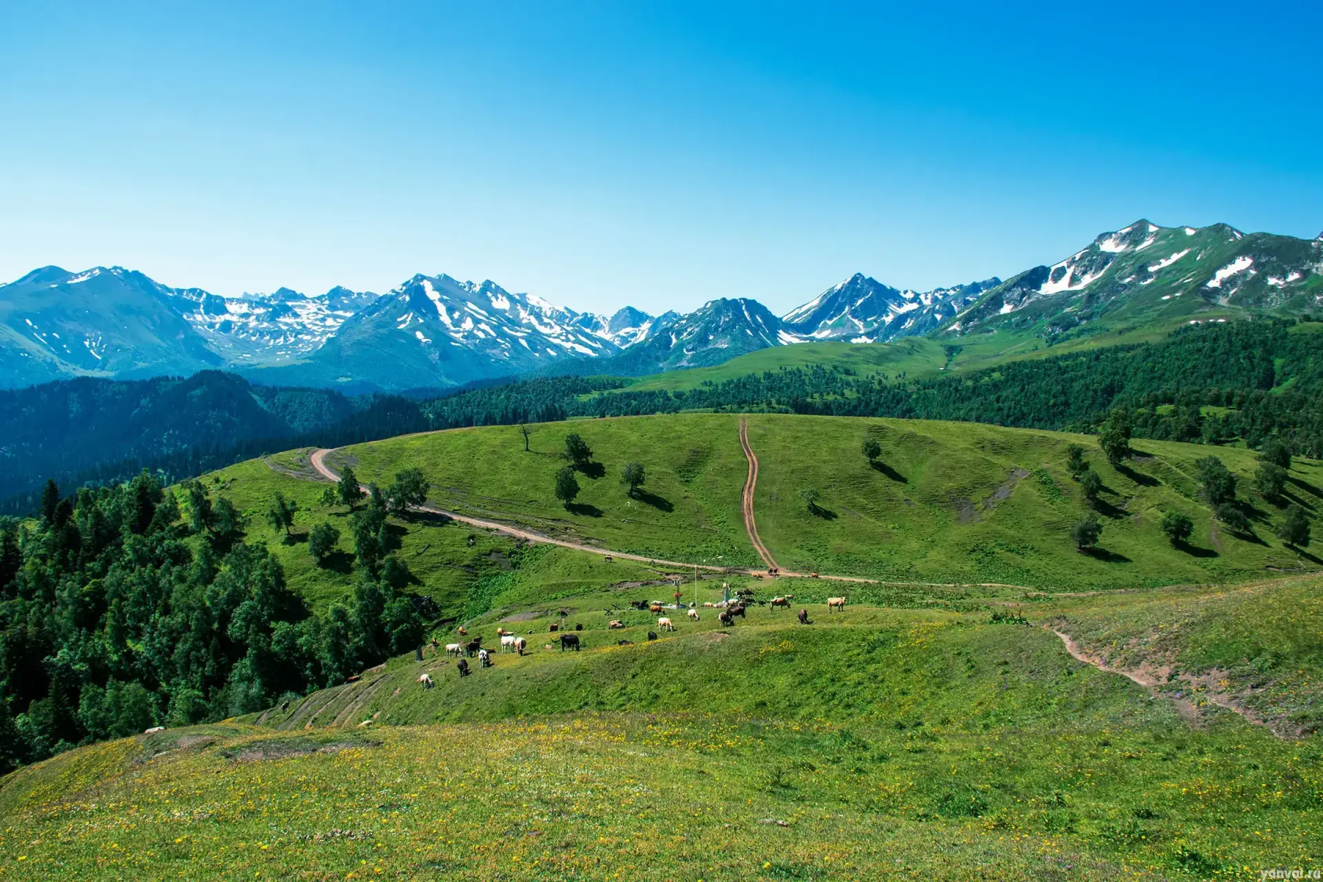 Bottomless lake summer 1