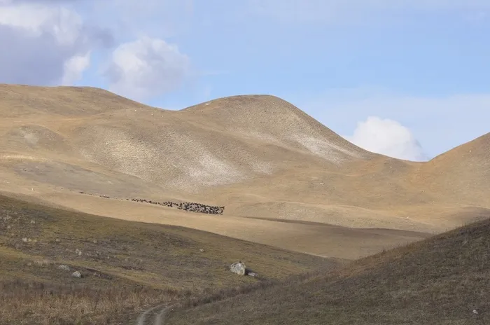 Mount Djisa summer 1