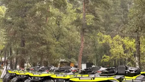 Смотреть видео