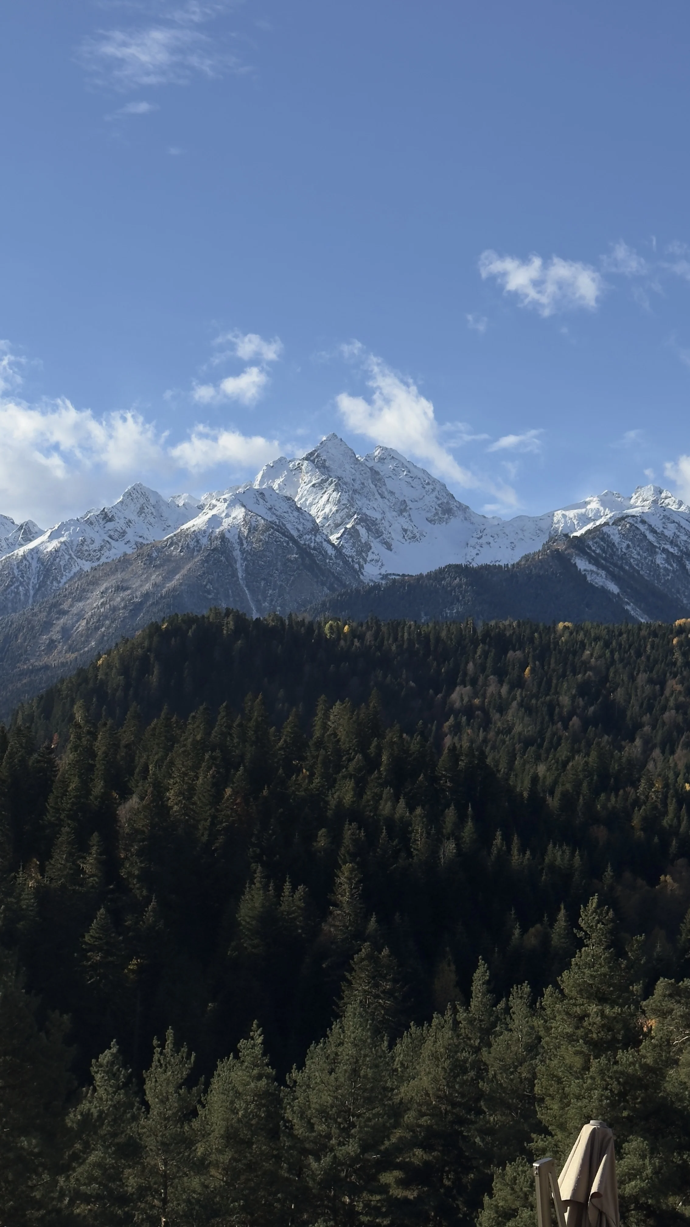 Отель Шатун в Архызе: номера, территория и условия проживания — фото 4