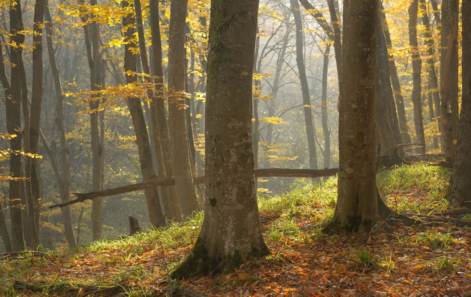 Marukh gorge — Route photo 12