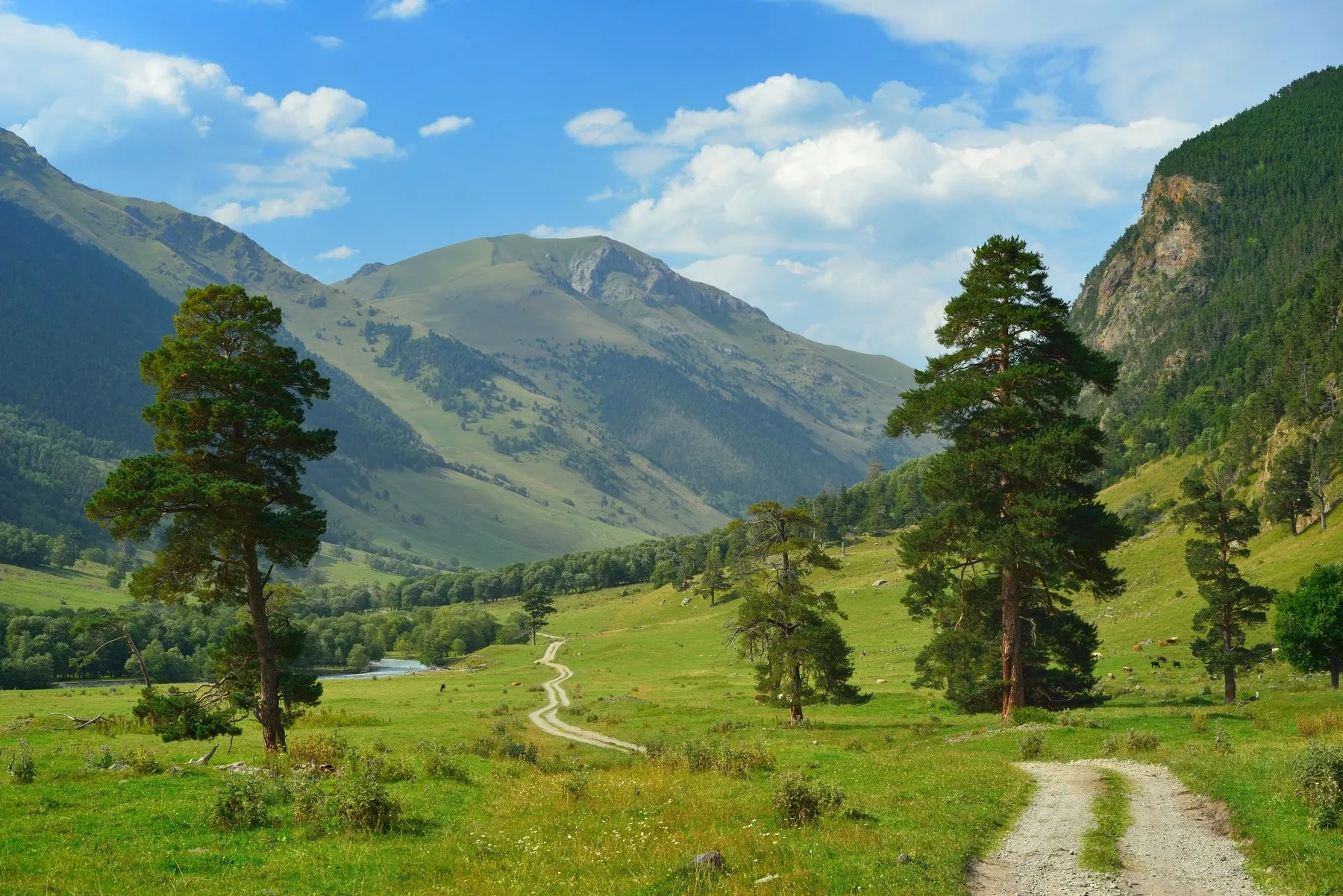 Marukh gorge summer 5