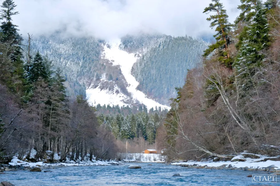 Winter forest of Arkhyz — Route photo 2